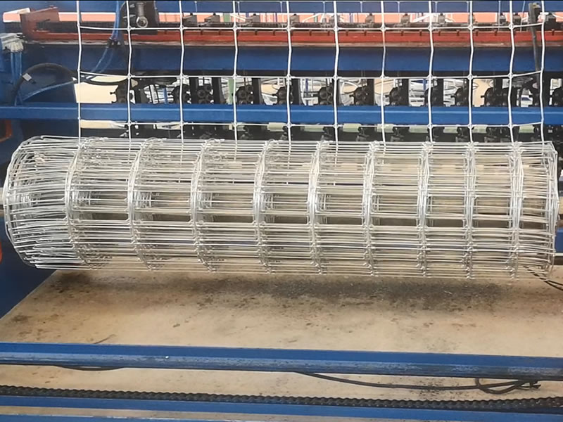 Livestock Fence 