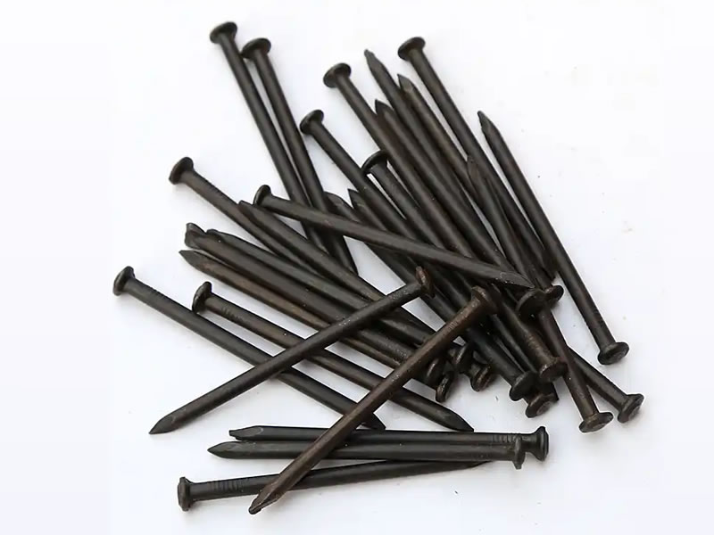 Black Common Nails