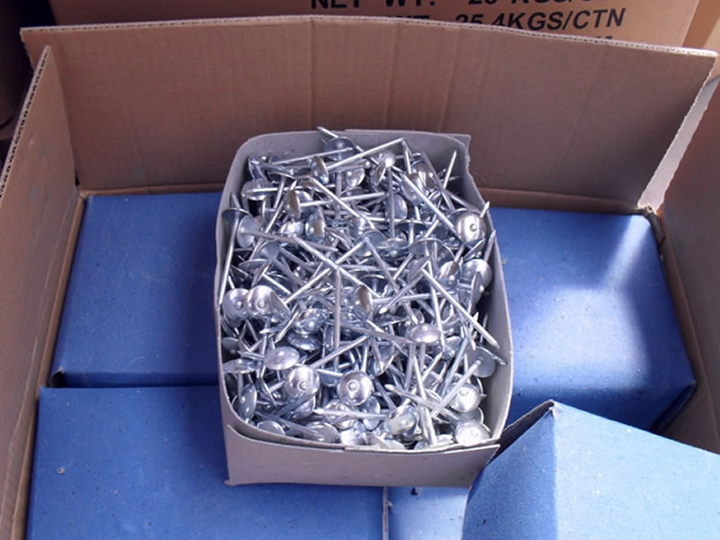 Galvanized Roofing Nails